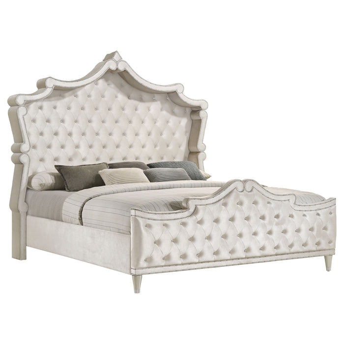 Antonella 5-piece California King Bedroom Set Ivory