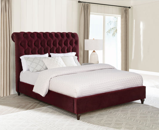 Devon 57-inch Upholstered Queen Panel Bed Wine Red